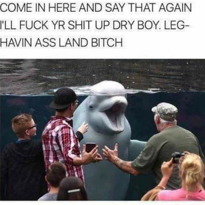 leg havin ass land bitch meme - Come In Here And Say That Again I'Ll Fuck Yr Shit Up Dry Boy. Leg Havin Ass Land Bitch
