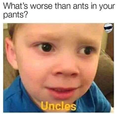 memes - gavin thomas - What's worse than ants in your pants? Uncles