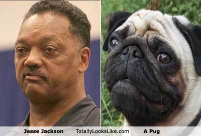 More Celebrity Look-A-Likes