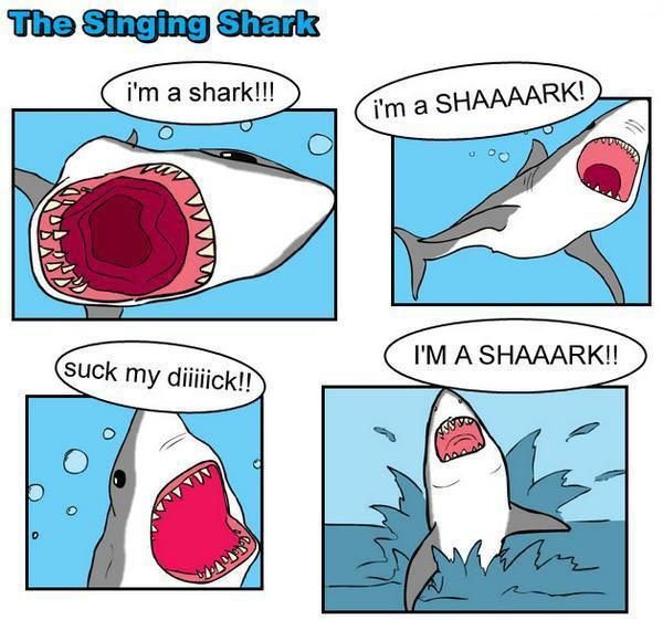 And his "Shark Song"