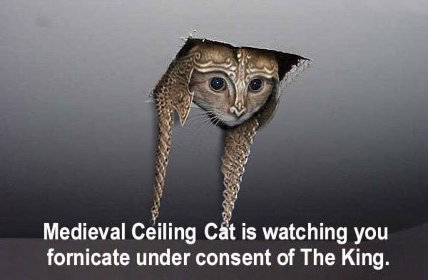 Medieval Ceiling Cat Picture