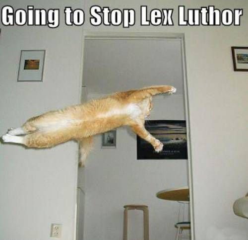 Going to stop Lex Luthor.