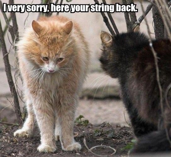 ... here's your string back.