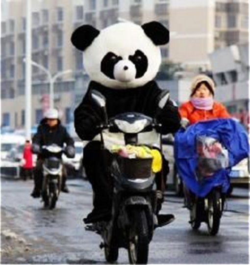 panda driving