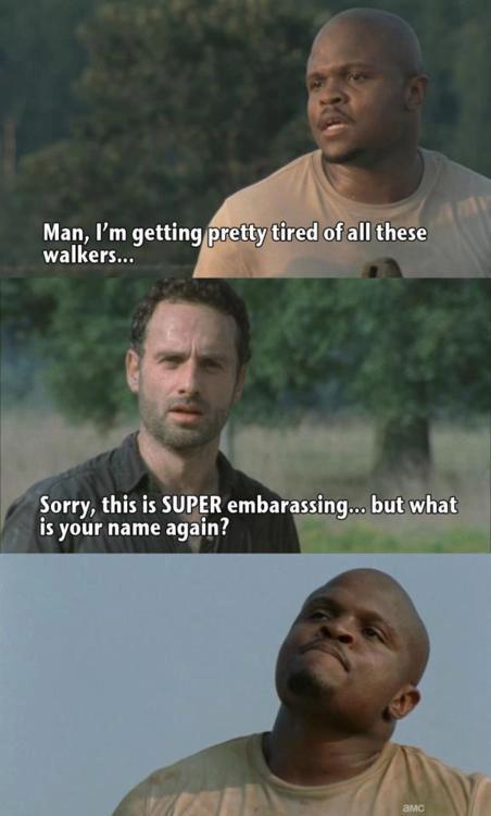 The Best of The Walking Dead Memes