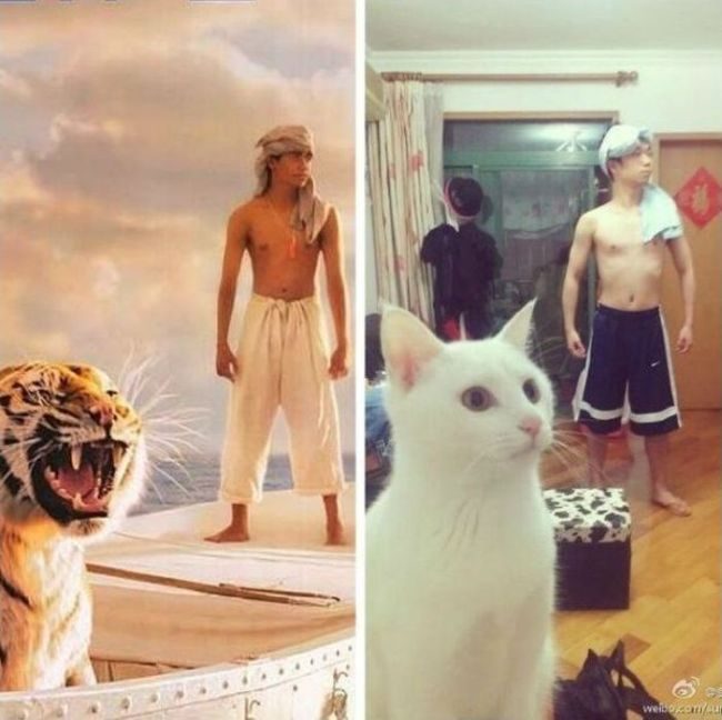 Best Viral Pics of The Week