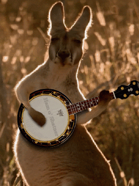 kangaroo banjo