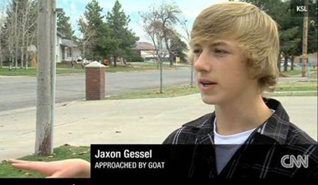 traumatizing experience - Jaxon Gessel Approached By Goat Cm