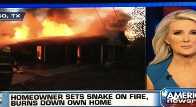 News - Fo, Tx Homeowner Sets Snake On Fire, Burns Down Own Home Ameri newsr
