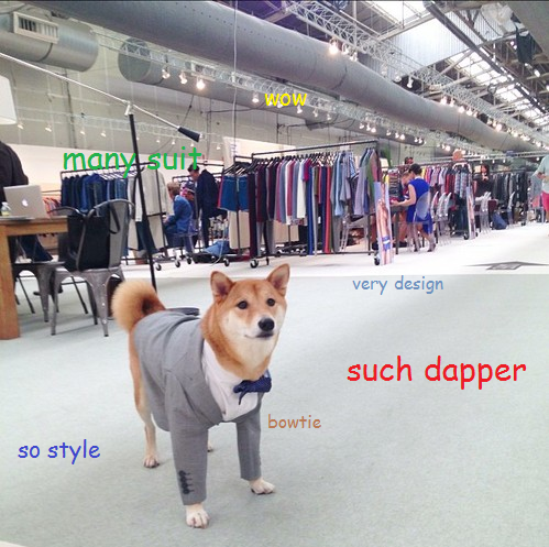 The Best Of: Doge