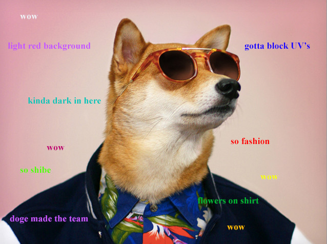 The Best Of: Doge