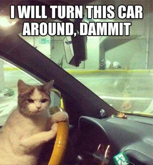 28 Images With Hilarious Captions