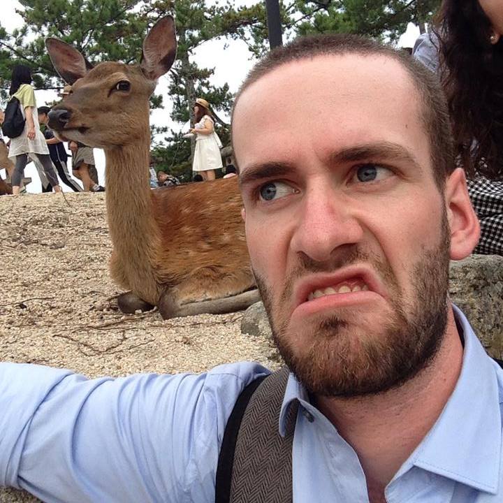 The unimpressed deer from Miyajima in Hiroshima