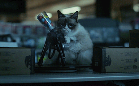 30 GIFs For Your Enjoyment