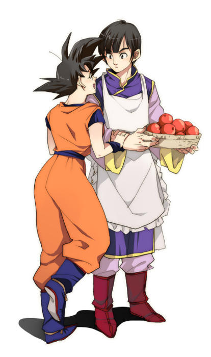 Goku and Chichi from Dragonball Z