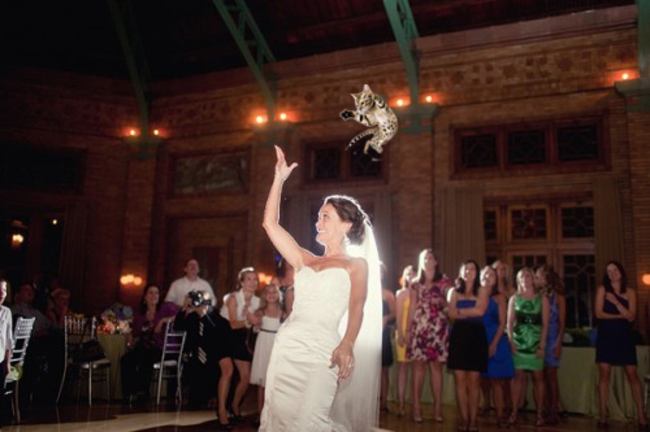 30 Brides Throwing Cats