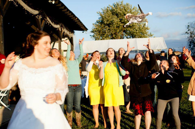30 Brides Throwing Cats - Gallery | eBaum's World