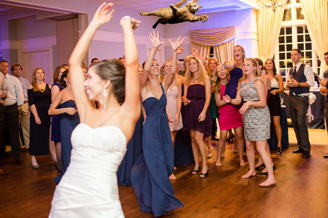 30 Brides Throwing Cats