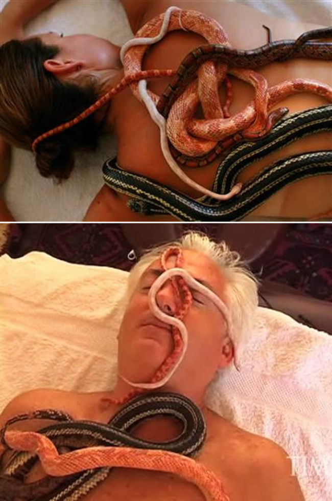 Snake Massage - yup, snakes can be massagers