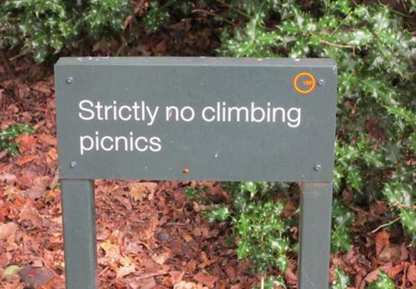 22 Oddly Specific Signs
