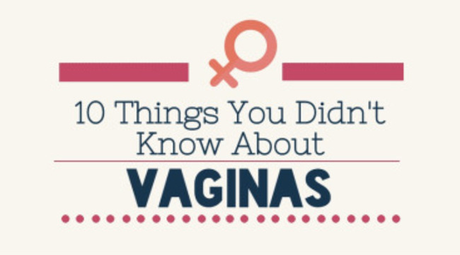 10 Amazing Facts About Vagina You Probably Didn't Know