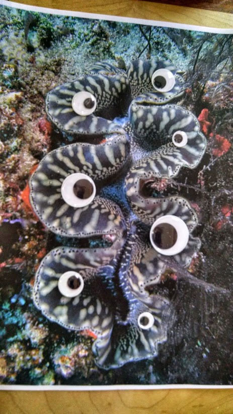25 Amazing Creatures From The Deep Sea