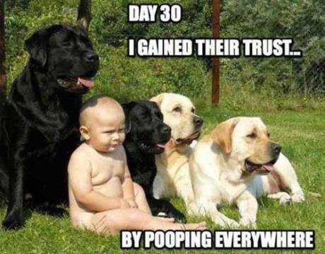 dog babies meme - Day 30 I Gained Their Trust. By Pooping Everywhere