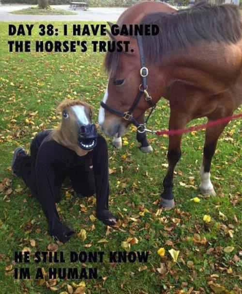 horse head meme - Day 38 1 Have Gained The Horse'S Trust. Still Dont Know Ima Huma