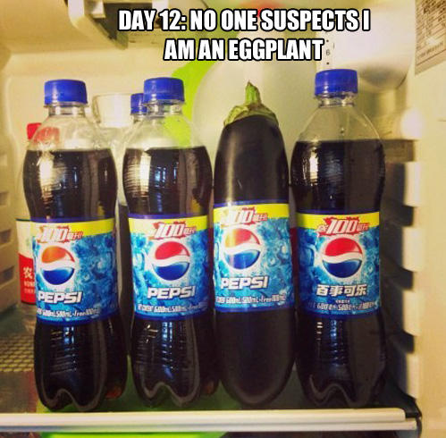 funny pepsi - Day 12No One Suspectsi Aman Eggplant Pepsi Pepsi Pepsi Bas Gwers