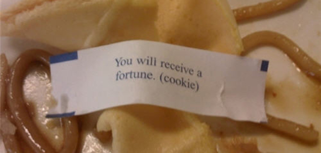 funniest fortune cookie - You will receive a fortune. cookie