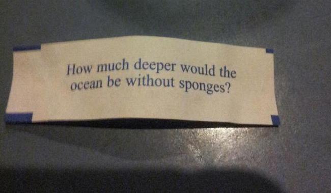 chio aachen - How much deeper would the ocean be without sponges?