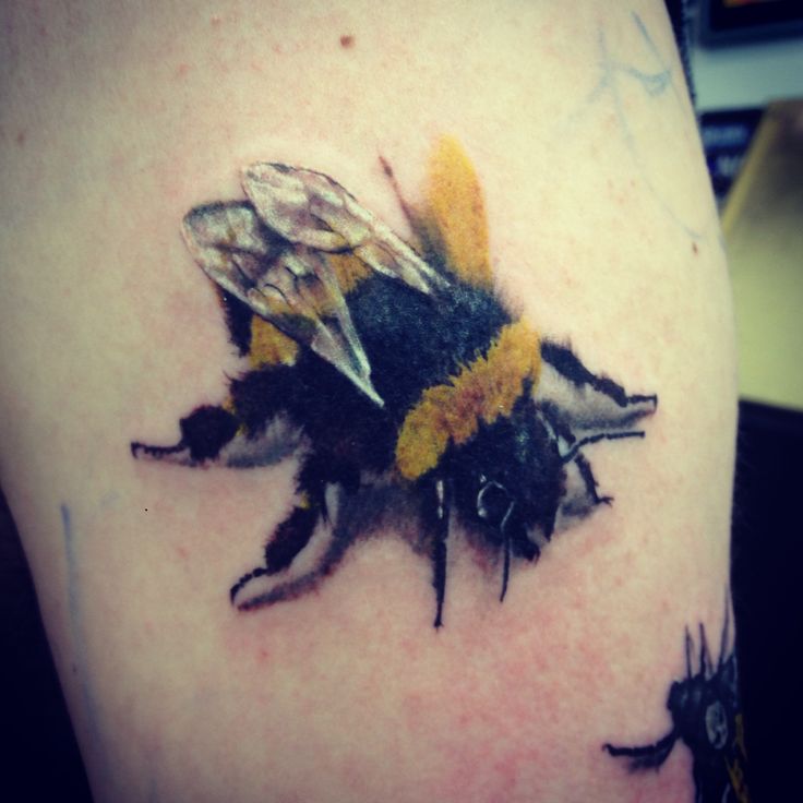 Receiving a tattoo has been described as similar to getting stung by a bee or getting a sunburn.