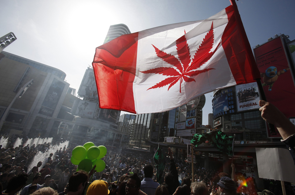 In 2003, Canada became the first country in the world to offer medical marijuana to pain-suffering patients.