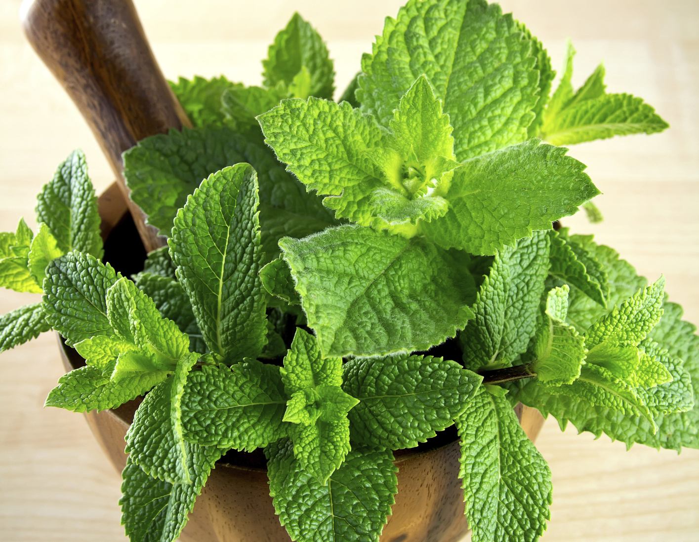 Regularly smelling peppermint may help decrease hunger and, consequently, caloric intake. Researchers believe the strong scent is distracting and helps keeps a person’s mind off of their appetite.