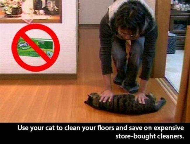 funny life hack - Wi Use your cat to clean your floors and save on expensive storebought cleaners.