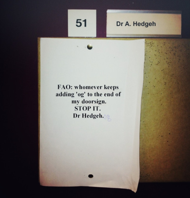Dr A. Hedgeh Fao whomever keeps adding 'og' to the end of my doorsign. Stop It. Dr Hedgeh.