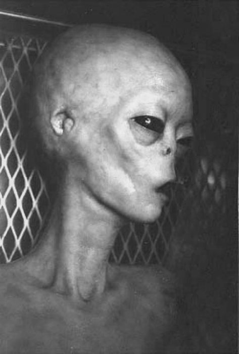 18 Aliens Captured on Photos and Film