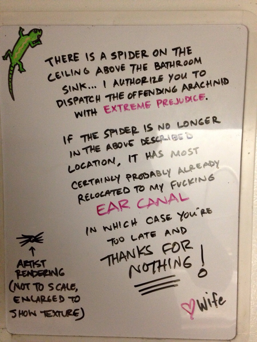 writing - There Is A Spider On The Ceiling Above The Bathroom Sink... I Author 126 You To Dispatch The Offending Arachnid With Extreme Prejudice. If The Spider Is No Longer In The Above Described Location, It Has Most Certainly Probably Already Relocated 