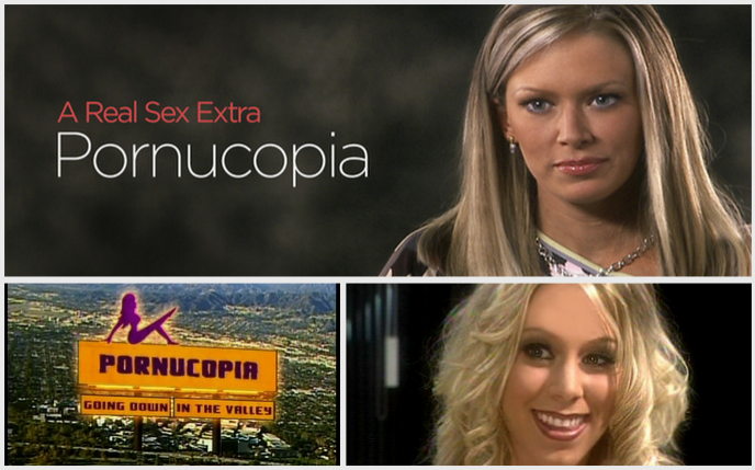 In 2004, HBO launched its program called Pornucopia, which documented the lives of those who work in California’s sex industry. It had interviews with such porn stars as Jenna Jameson, Jenna Haze, Jill Kelly and Jeff Stryker. Other TV stations followed and many similar shows emerged, such as Skin by the Fox Network, a prime-time drama about a porn magnate, which was cancelled after only three episodes.