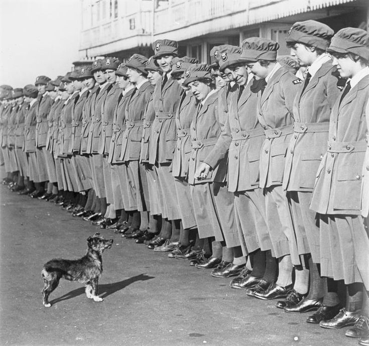 Members of the Women's Royal Air Force (WRAF) playing with a little dog while awaiting for inspection during the First World War.