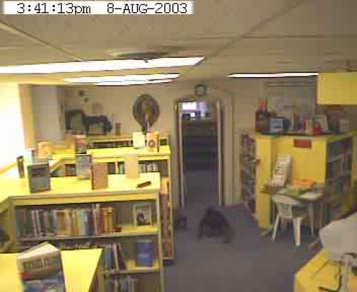 The Willard Library in Evansville, Indiana is reportedly haunted by a number of spirits. Willard streams live video from three rooms in the library, and one viewer noticed this strange creature crawling along the floor.