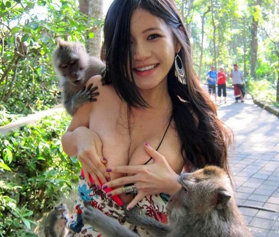 Researchers from Northwestern University found out that many women get turned on by monkey sex videos.