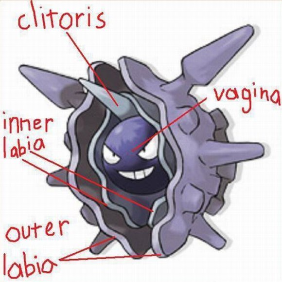 pokemon cloyster porn - clitoris vagina inner Tabia outer labia