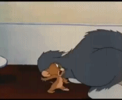 dirty tom and jerry gif