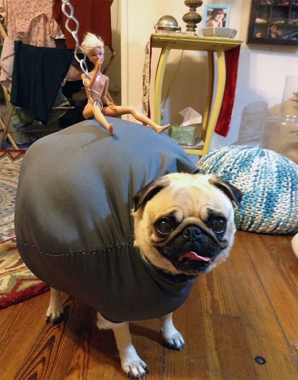 wrecking ball dog costume