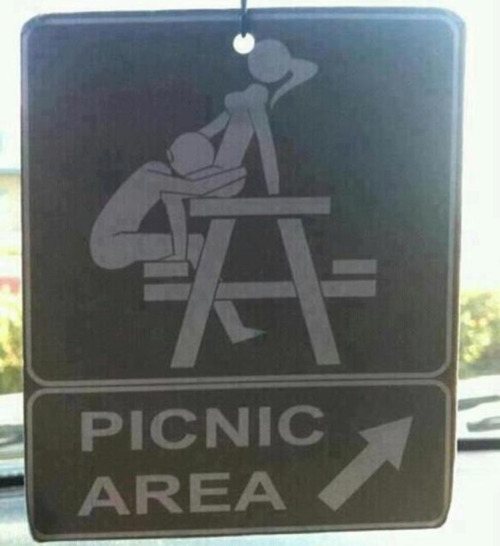 wanna fuck your brains out - Picnic Area