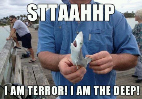 tiny shark meme - Sttaahhp I Am Terror! I Am The Deep!