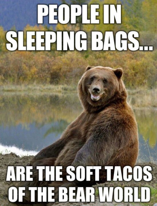 puducherry - People In Sleeping Bags... Are The Soft Tacos Of The Bear World