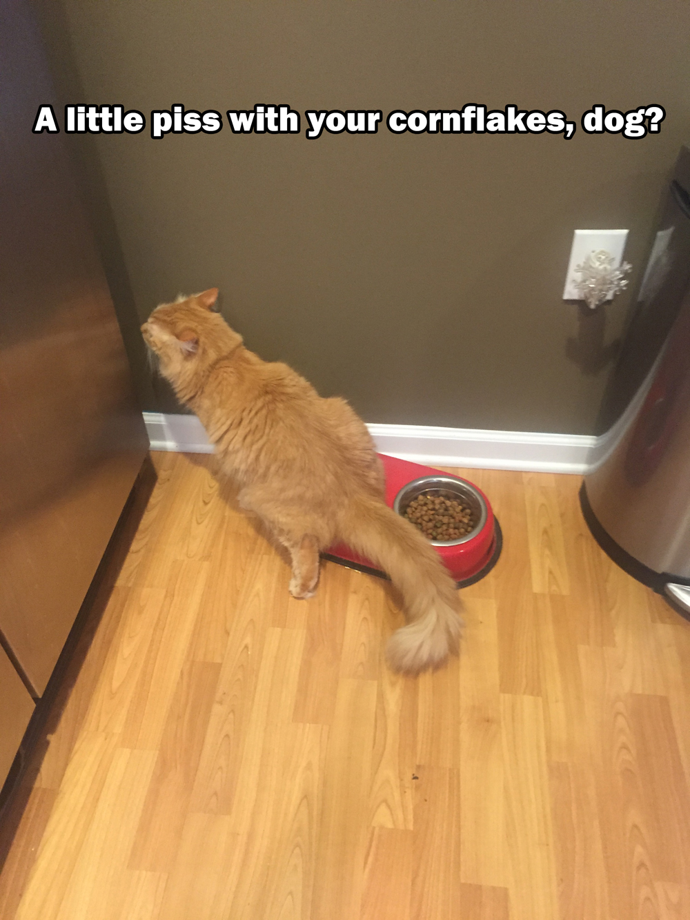 Cat - A little piss with your cornflakes, dog?
