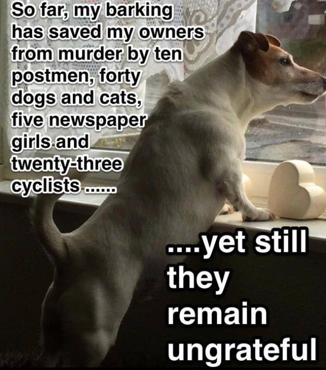 funny dog logic - So far, my barking has saved my owners from murder by ten postmen, forty dogs and cats, five newspaper girls and twentythree cyclists ..... ....yet still they remain ungrateful